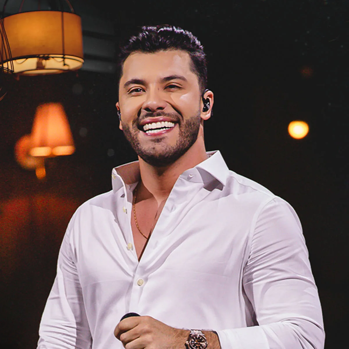 Artista do sertanejo no palco